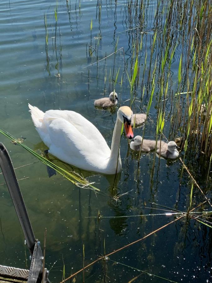 Sweet App Am See Ponitz am See Exterior foto